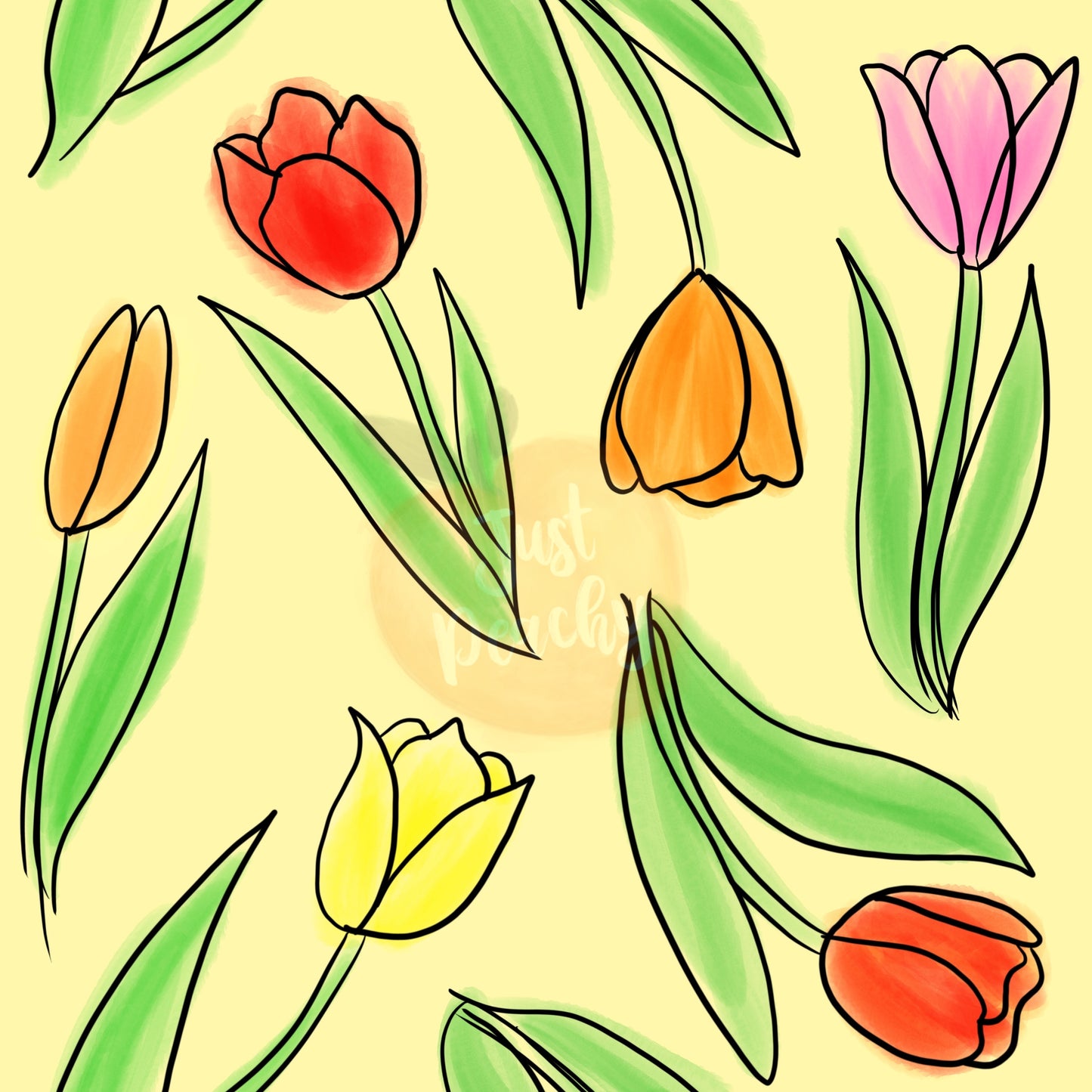 Tulips-Multiple Colors