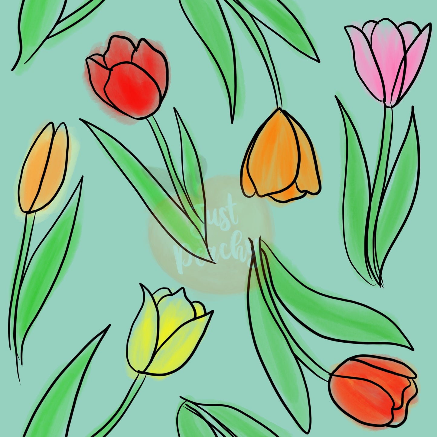 Tulips-Multiple Colors