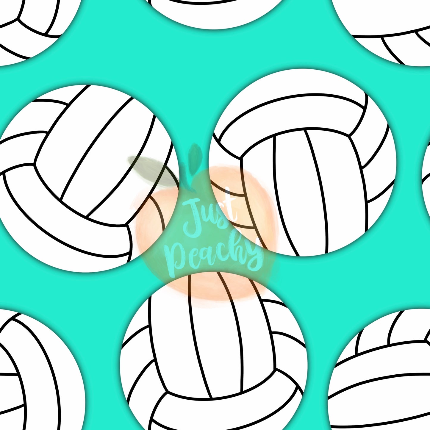 Volleyballs - Multiple Colors